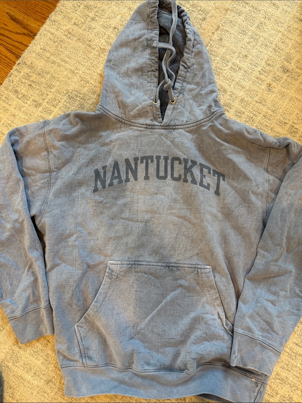 Brandy Melville Blue Gray Nantucket Hoodie